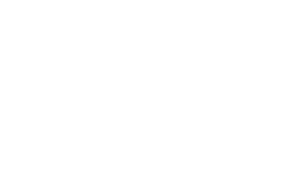 Bank of America Stadium