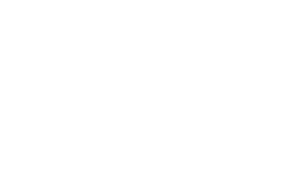 London Stadium Local Business Program