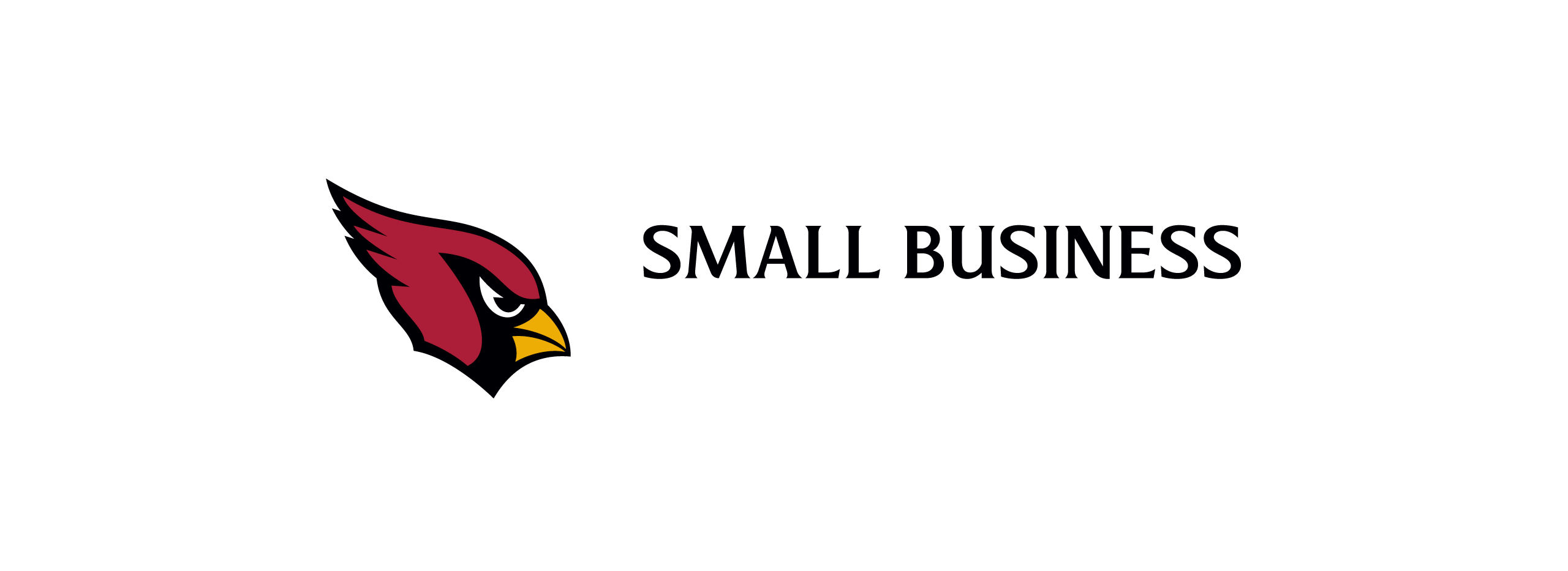 Arizona Cardinals Register